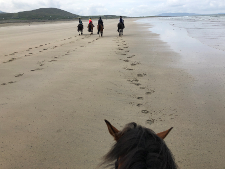 Clew Bay Coastal Trail Ride 